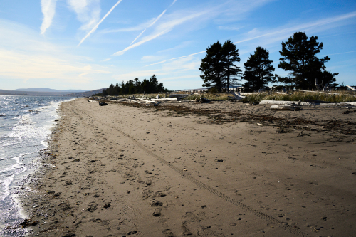 Eau,Plage,Plage de Penouille,Milieu naturel,Forêt,Parc Forillon,Saison,Automne,MRC Côte-de-Gaspé,Région,Parc provincial,Jour,Temps